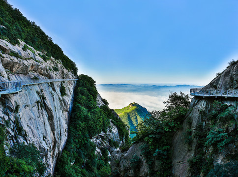 瞭望青山