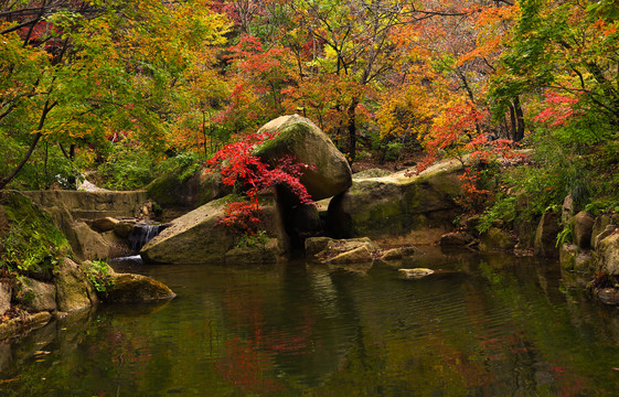 山林溪水