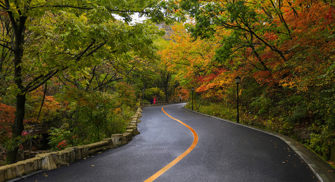 林间小路