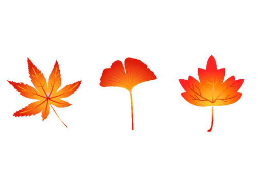 秋天树叶红叶素材卡通
