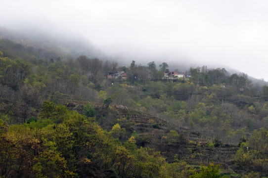 山村风光