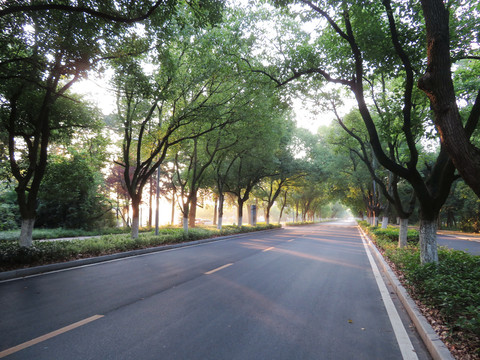 道路