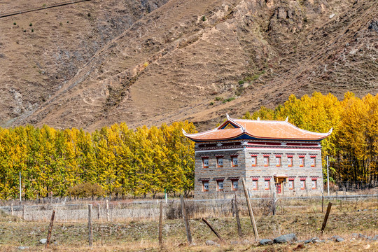 川西藏式民居
