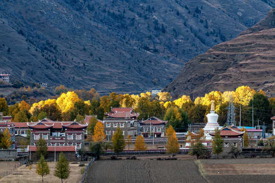 川西藏式民居
