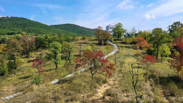 深秋田野