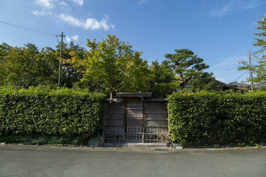 庭院大门绿植墙