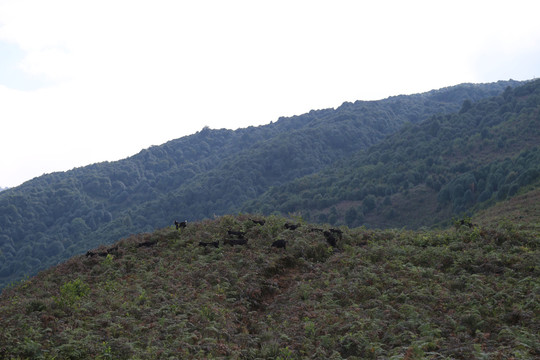 蓝天白云大山层峦叠嶂