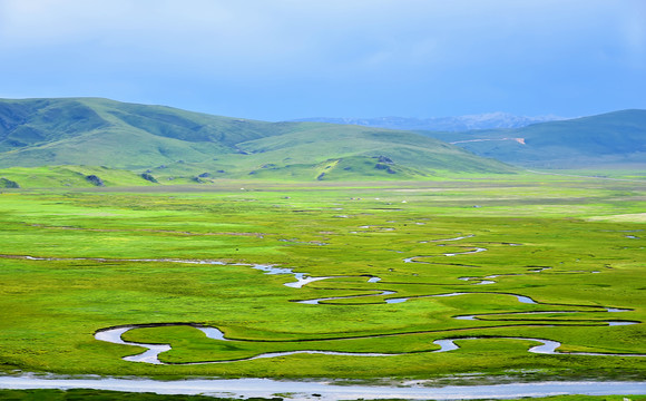 郭莽湿地