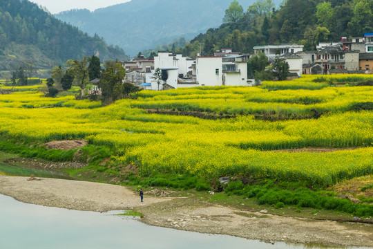 美丽乡村