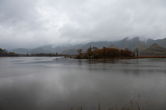 沼泽湿地