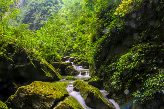 溪流青苔绿石