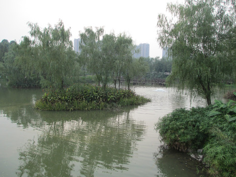 湖心
