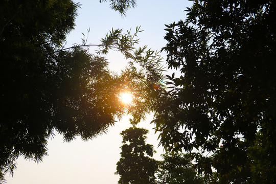 太阳