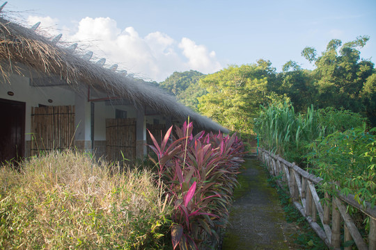 草屋小路