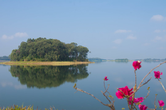 湖心小岛