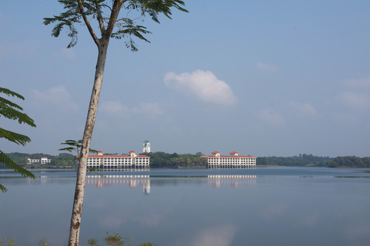 湖水