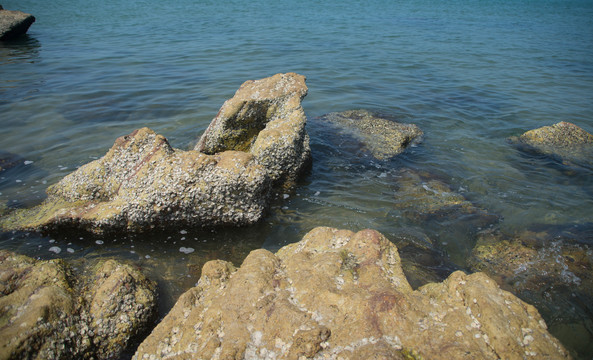 海面