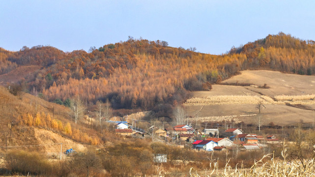 乡村秋景