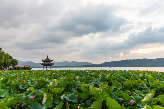 西湖美景