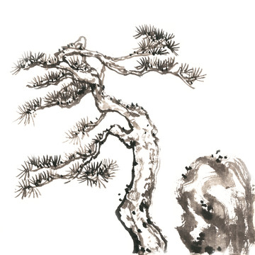 冬季松树与岩石