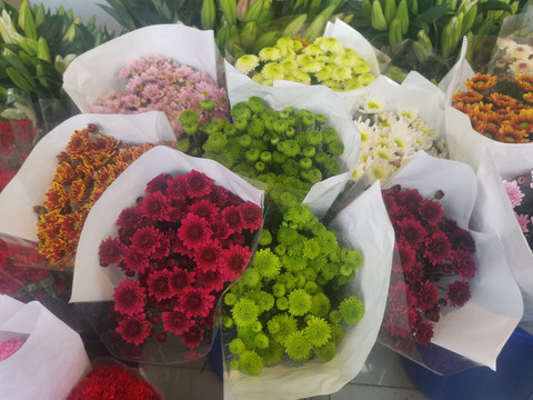 鲜花店雏菊