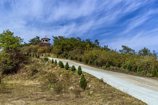 桐柏山风光