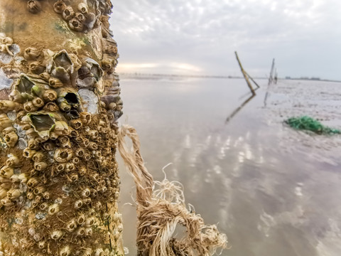 霞浦风光
