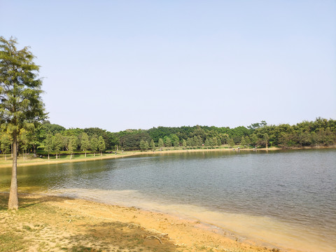松山湖风光