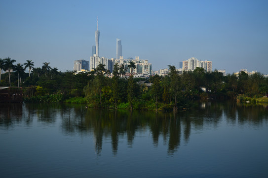 海珠湖湿地公园