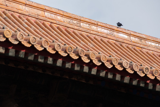 北京故宫古建筑景观