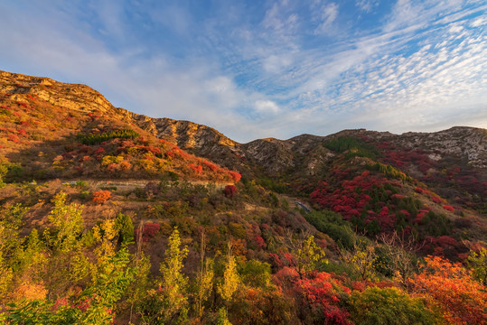 博山禹山路秋景