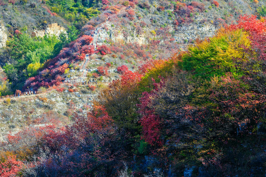 山里秋色