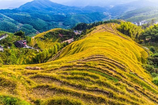 江西赣州上祟义上堡梯田风景