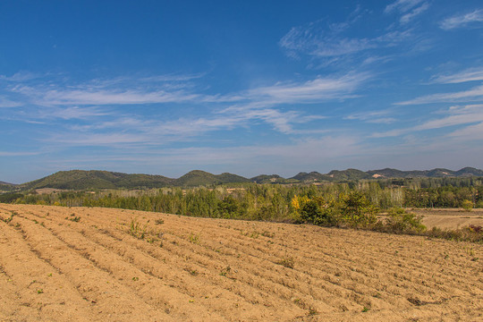 田园山野