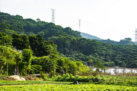 山下