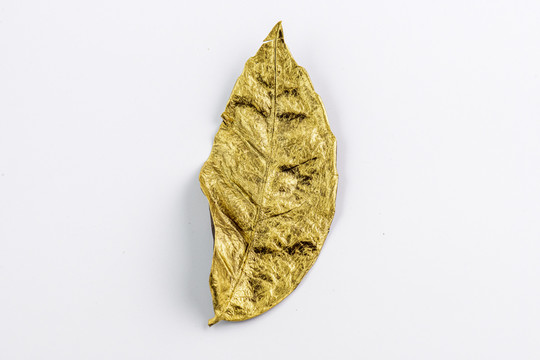 金叶子