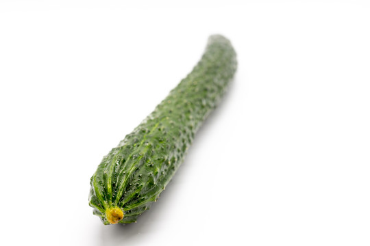 黄瓜