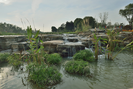 荆州园博园湿地