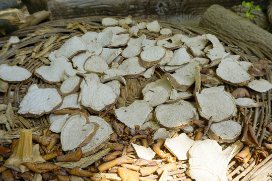 韩国民俗村传统农家晾晒的食材