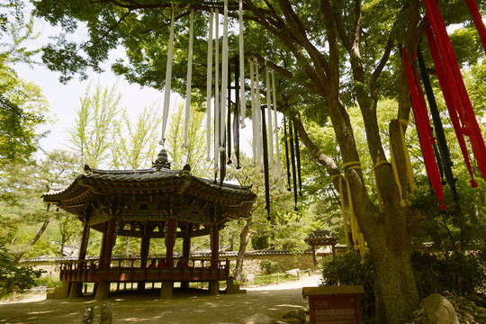 韩国民俗村祈愿树彩色绸带及凉亭