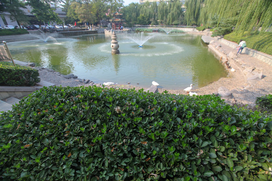 北京交通大明湖