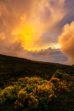夏威夷火山岛