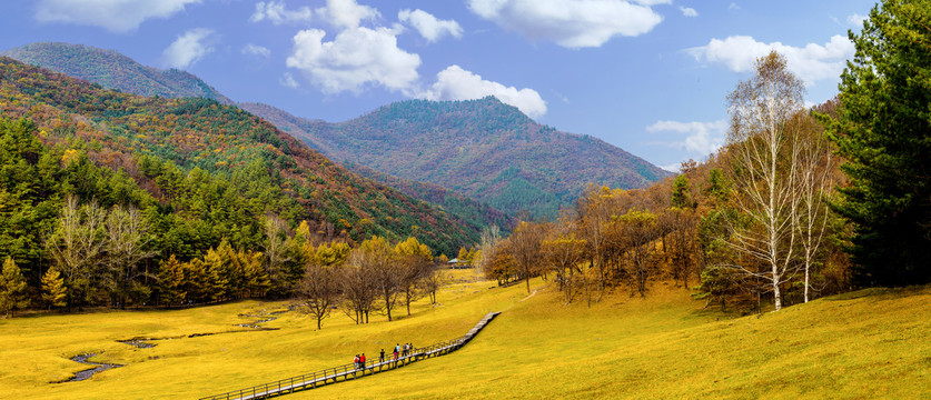 森林远山