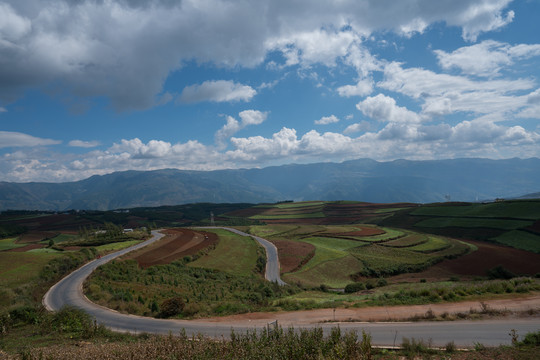 东川红土地