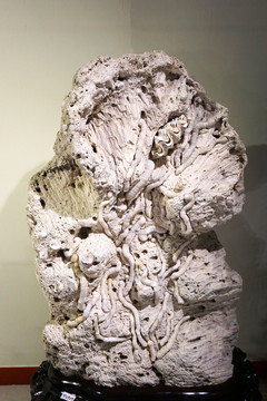 珊瑚虫迹化石