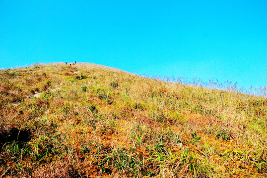 高山秋色