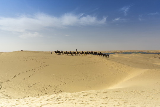 罗布人村寨沙漠