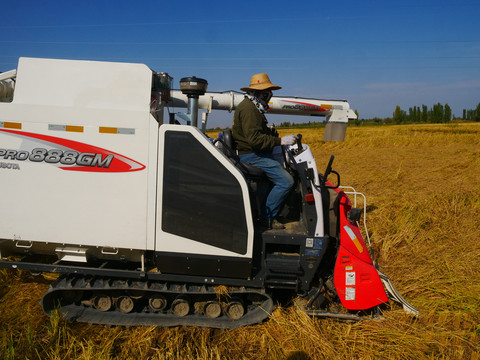 稻田稻谷农用器械自动化收割
