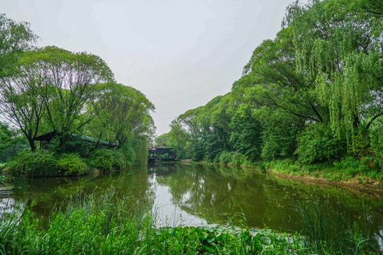 蓝天白云绿植湖泊