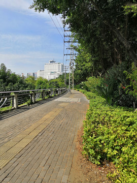 南宁市竹排冲公园